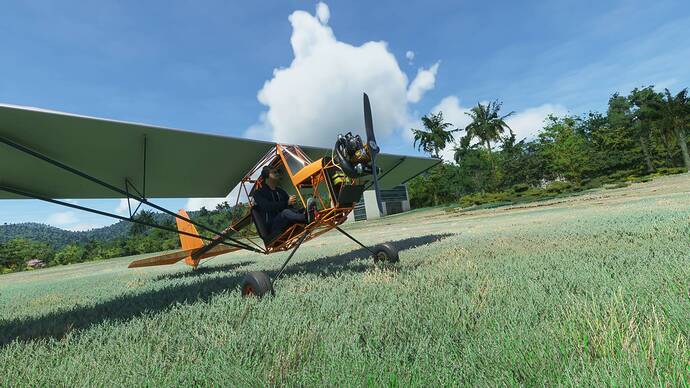 Microsoft Flight Simulator 6_18_2021 7_52_50 PM