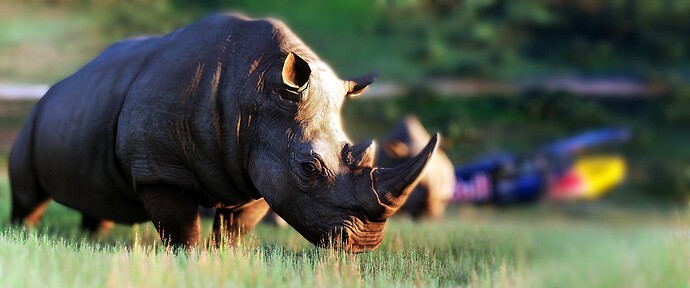 Microsoft Flight Simulator Screenshot 2022.05.31 - 18.15.20.79