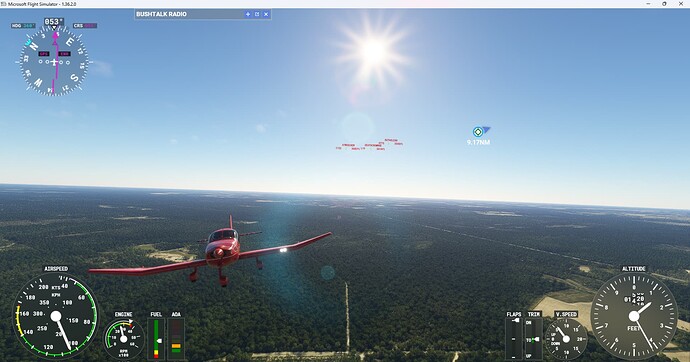 Microsoft Flight Simulator 13-Mar-24 00_19_41