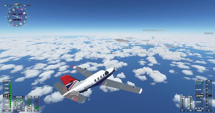 Microsoft Flight Simulator Screenshot 2021.08.08 - 22.28.02.82