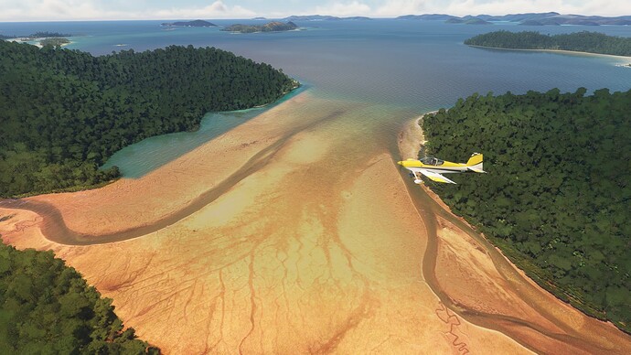 Microsoft Flight Simulator 21_1_2024 22_53_49