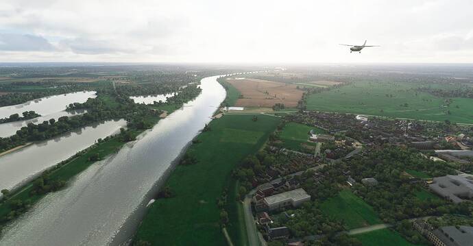 Megen1.PNG