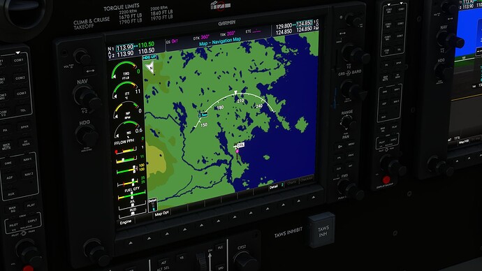 Microsoft Flight Simulator (8)