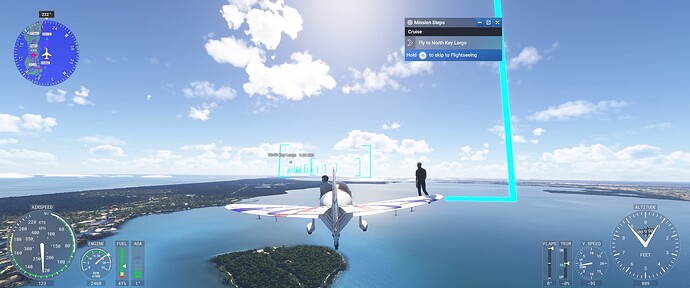 Microsoft Flight Simulator 2024 - 1.3.10.0 8_02_2025 10_47_19 PM