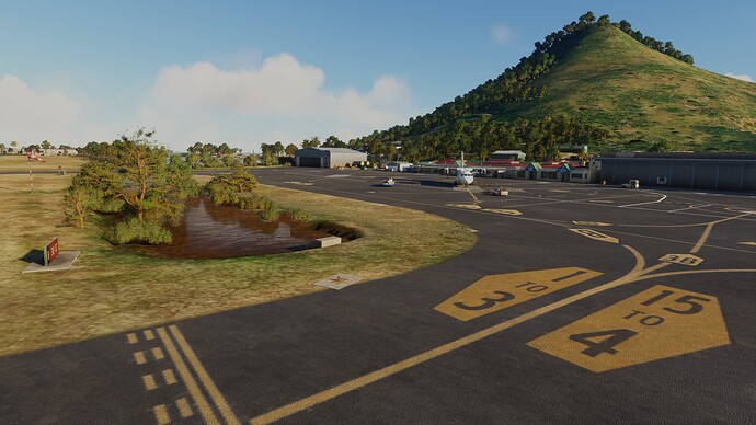 Microsoft Flight Simulator 13_04_2025 07_50_52