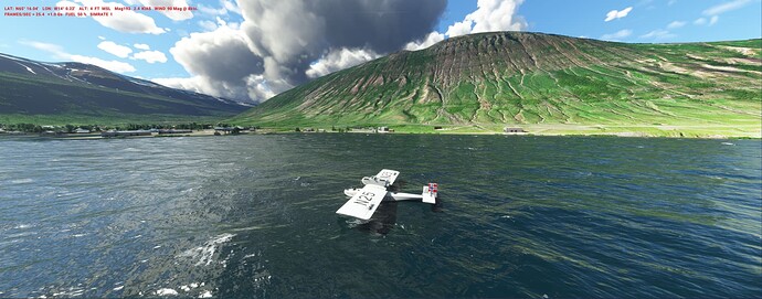 PION_wvg_1