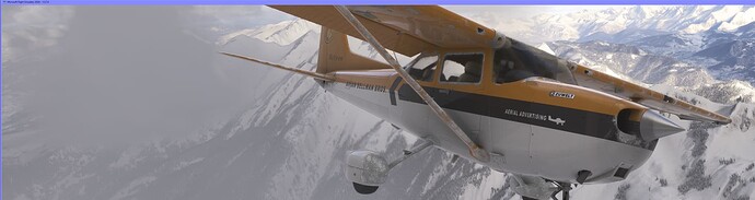 Microsoft Flight Simulator 2024 29_01_2025 21_54_20