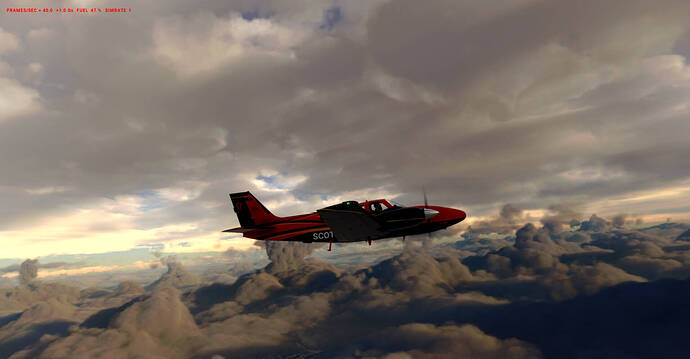 Image 0297