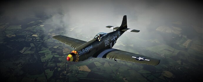 P51