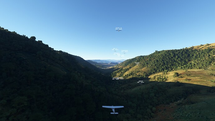 Microsoft Flight Simulator - 1.21.18.0 20.01.2022 21_51_53