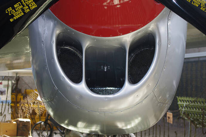 IMGP5215