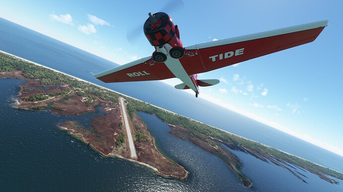 cedar01