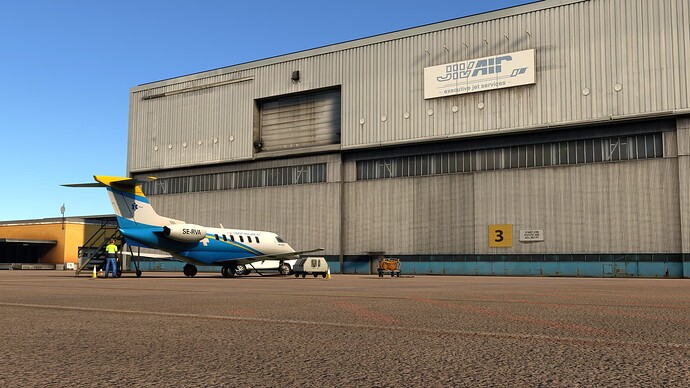 Microsoft Flight Simulator 25_03_2025 16_43_34