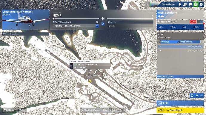 Microsoft Flight Simulator 2024 2_19_2026 9_41_36 PM