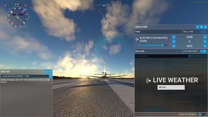 Microsoft Flight Simulator 2025-06-09 12_25_12 PM