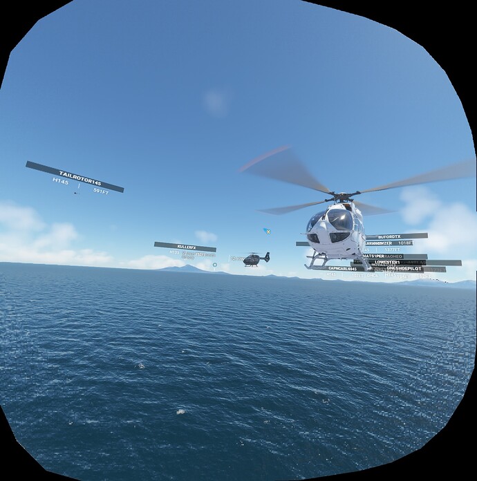 FS2020_20220612_202912_NIS_85_20_L