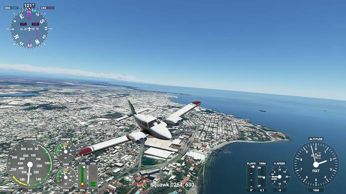 Microsoft Flight Simulator 5_31_2021 11_34_00 AM