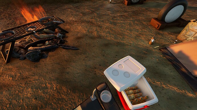 Microsoft Flight Simulator-2024_06_22-23-03-46