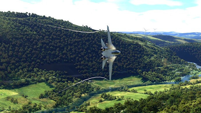 Microsoft Flight Simulator 20_05_2024 17_02_09