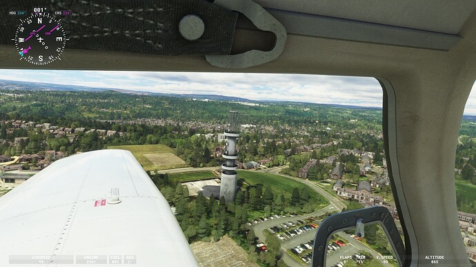 Microsoft Flight Simulator (460)