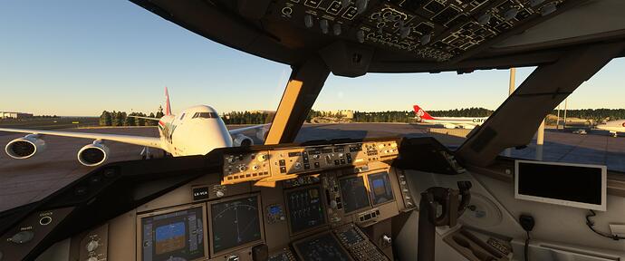 Microsoft Flight Simulator 2_7_2023 11_19_04 PM