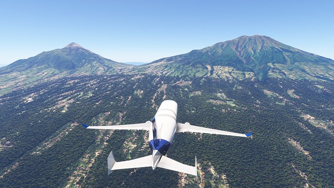 Microsoft Flight Simulator 2024-2024_11_27-20_02_28 (1)