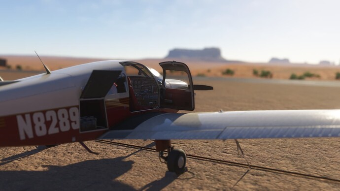 Microsoft Flight Simulator 2024 Screenshot 2025.05.29 - 15.51.52.95_Snapseed