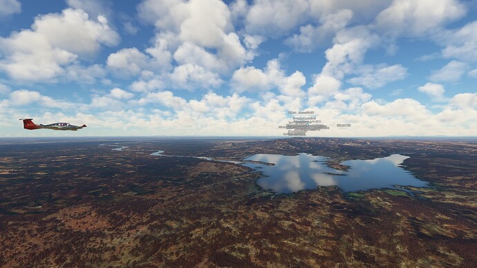 Microsoft Flight Simulator 3_24_2022 2_09_45 PM