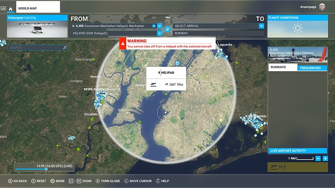 Microsoft Flight Simulator (6)