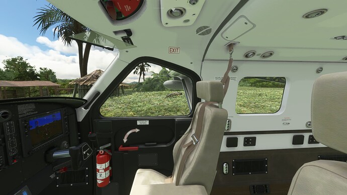 Microsoft Flight Simulator 26.12.2021 11_34_22