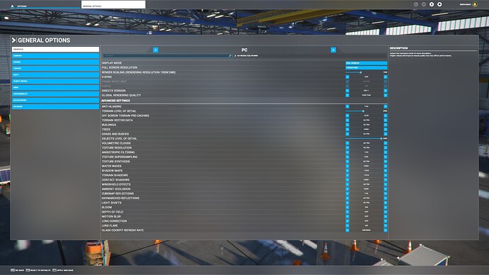ingame settings