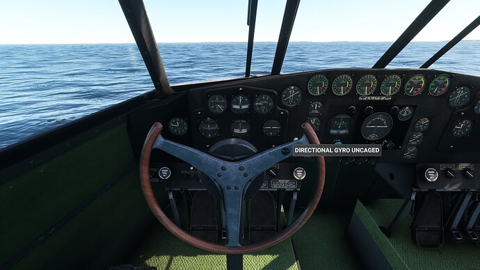 Microsoft Flight Simulator 21_10_2024 15_26_09