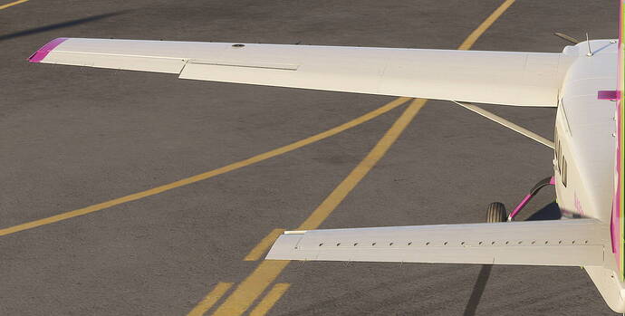 Caravan after ldg L aileron