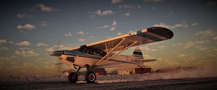 Cub Crafter barrow