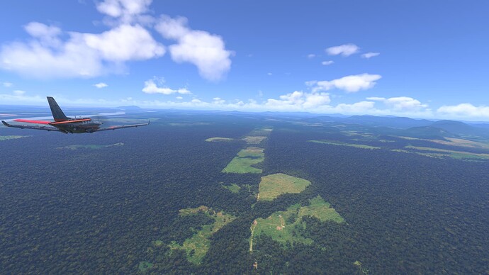 Microsoft Flight Simulator 2024-2025_09_11-16-51-29 (1)