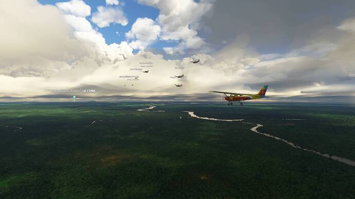 Microsoft Flight Simulator 8_2_2021 1_31_11 PM