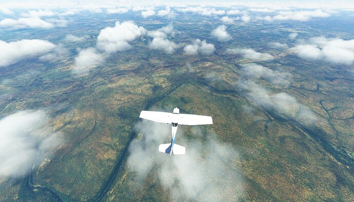 Screenshot 2023-07-02 141004_Foret de Wari Maro