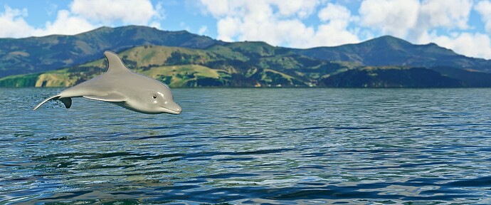 Dolphins_2