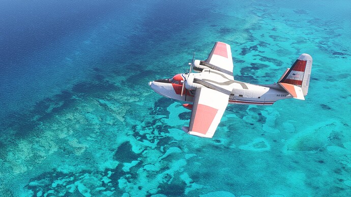 Microsoft Flight Simulator 2024 01_01_2025 16_41_20