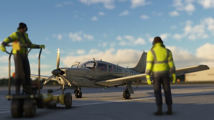 Microsoft Flight Simulator (458)