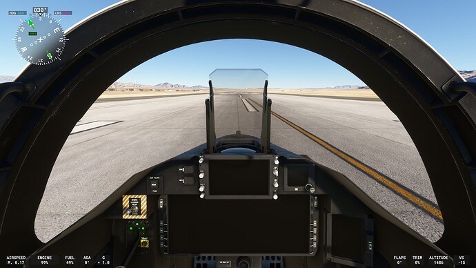 Microsoft Flight Simulator-2025_01_20-21-13-34