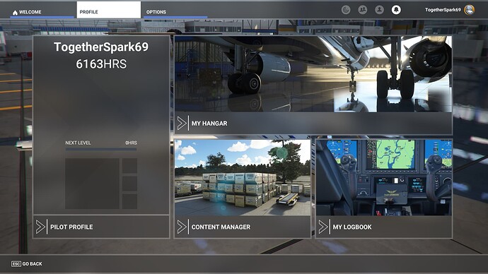 Microsoft Flight Simulator Screenshot 2025.01.22 - 06.48.41.59