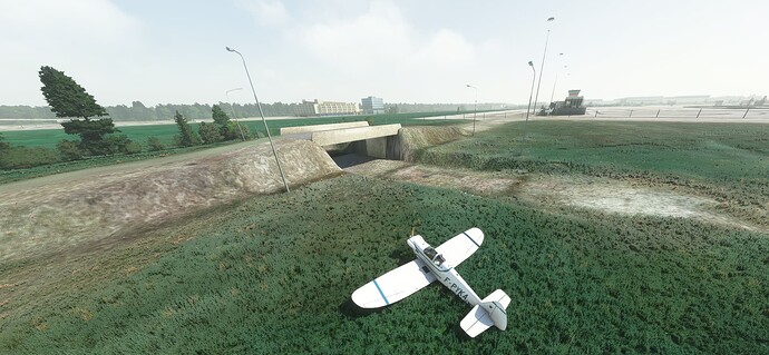 CYMX_Terraforming_bis__2023