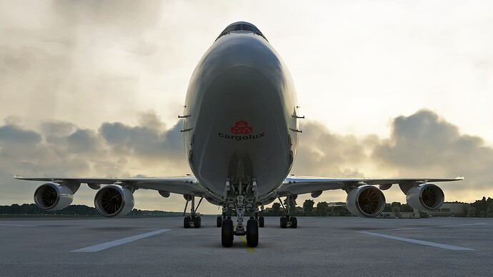 Microsoft Flight Simulator-2024_03_17-16_59_27