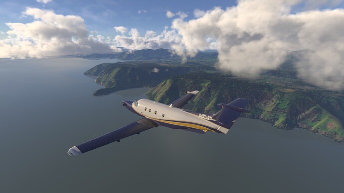 Microsoft Flight Simulator 2024-2025_06_14-10-28-28