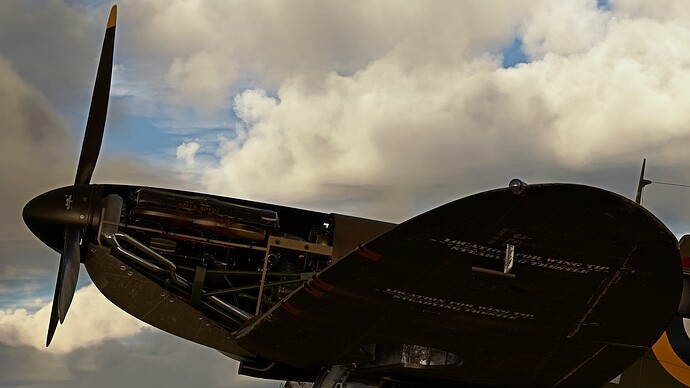 Microsoft Flight Simulator Screenshot 2024.01.21 - 08.55.06.53