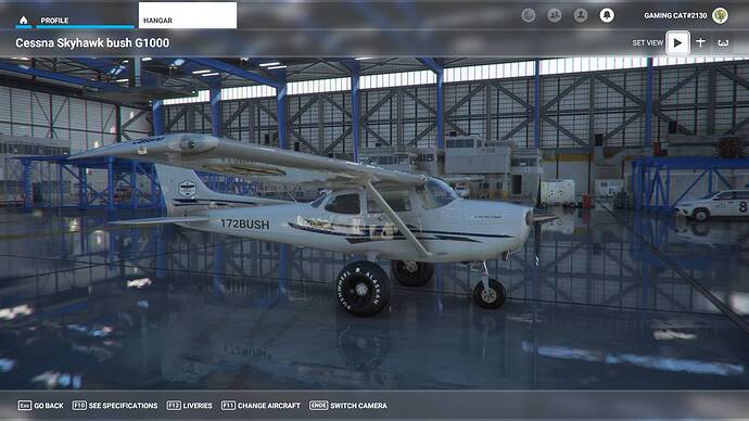 Microsoft Flight Simulator 30.07.2021 00_24_51