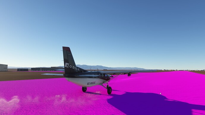 Microsoft Flight Simulator-2025_01_12-21-05-50