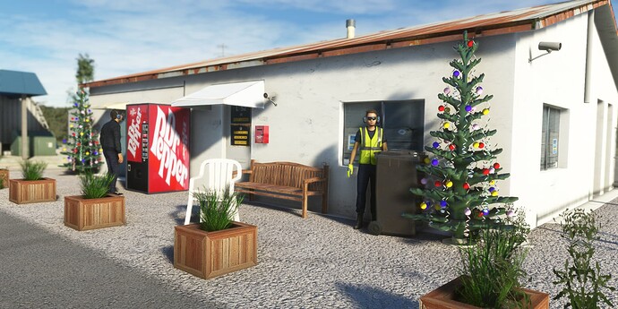 Microsoft Flight Simulator Screenshot 2022.12.17 - 12.32.34.09