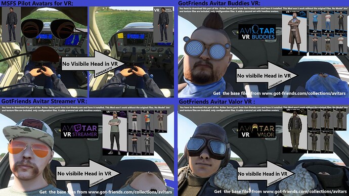 No visibile Head in VR